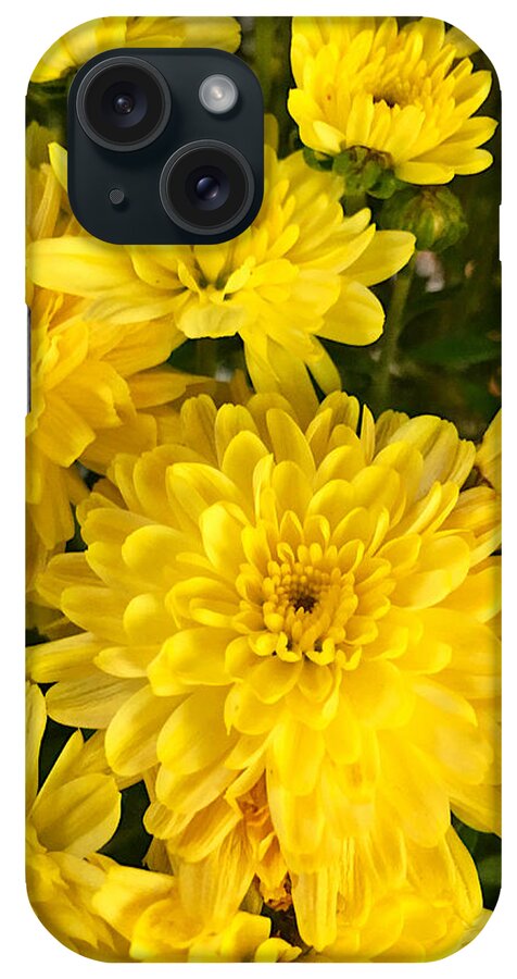 Flowers iPhone Case featuring the photograph Yellow Flowers by Lisa Pearlman