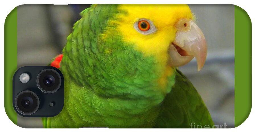 Amazon iPhone Case featuring the photograph Yellow-headed Amazon Parrot by Lingfai Leung