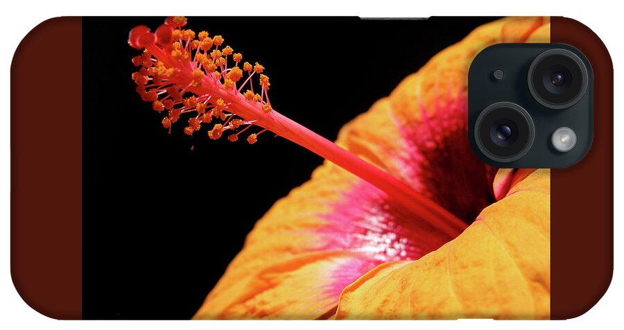 Hibiscus iPhone Case featuring the photograph Yellow Hibiscus by Marie Hicks