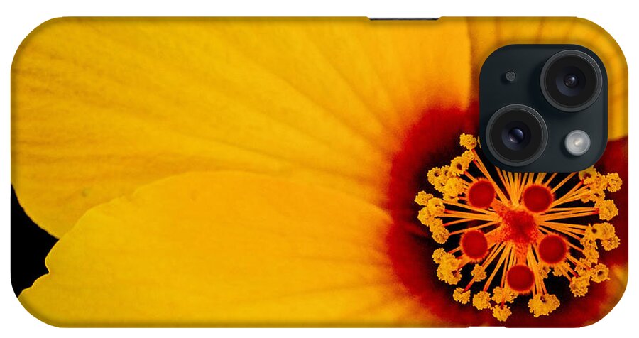 Yellow Flower iPhone Case featuring the photograph Yellow Hibiscus Squared by TK Goforth