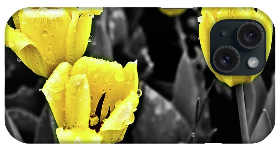 Tulips iPhone Case featuring the photograph Yellow in Black and White by Steven Parker