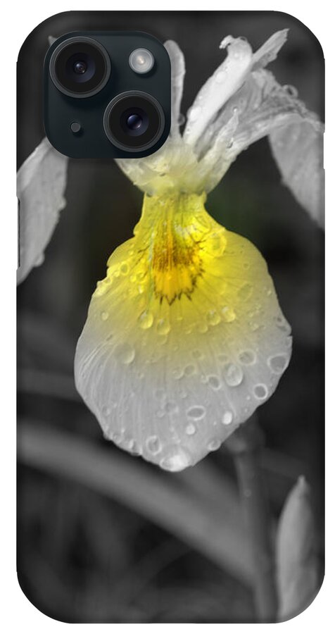 Flower iPhone Case featuring the photograph Yellow Iris by Kimberly Woyak