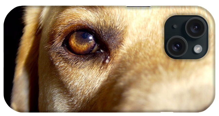 Dog iPhone Case featuring the photograph Yellow Labrador Retriever Eye by Jason Freedman