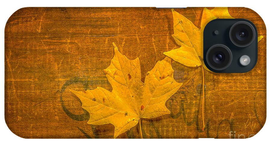 Yellow Leaves On Wood Still Life iPhone Case featuring the photograph Yellow Leaves on Wood Still Life by Randy Steele