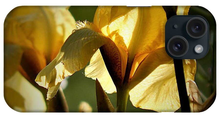 Sprig iPhone Case featuring the photograph Yellow Light by Wild Thing