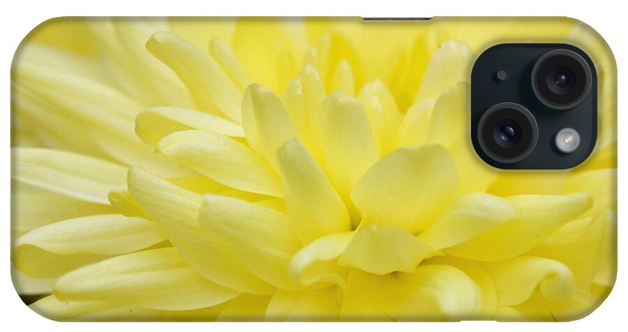 Yellow iPhone Case featuring the photograph Yellow Mum by Jim Gillen