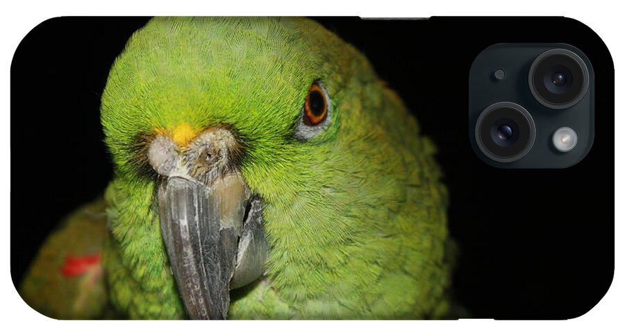 Yellow iPhone Case featuring the photograph Yellow-Naped Amazon Parrot by Alexander Butler