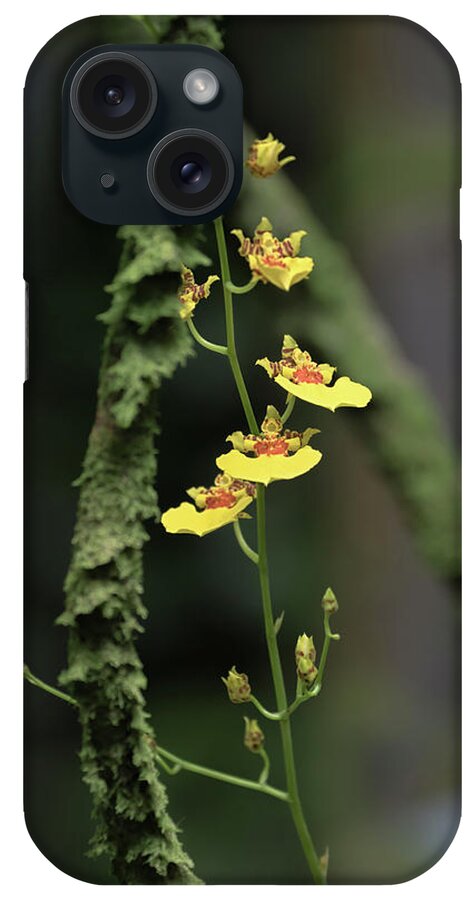 Orchid iPhone Case featuring the photograph Yellow Oncidium Orchids by Susan Rissi Tregoning