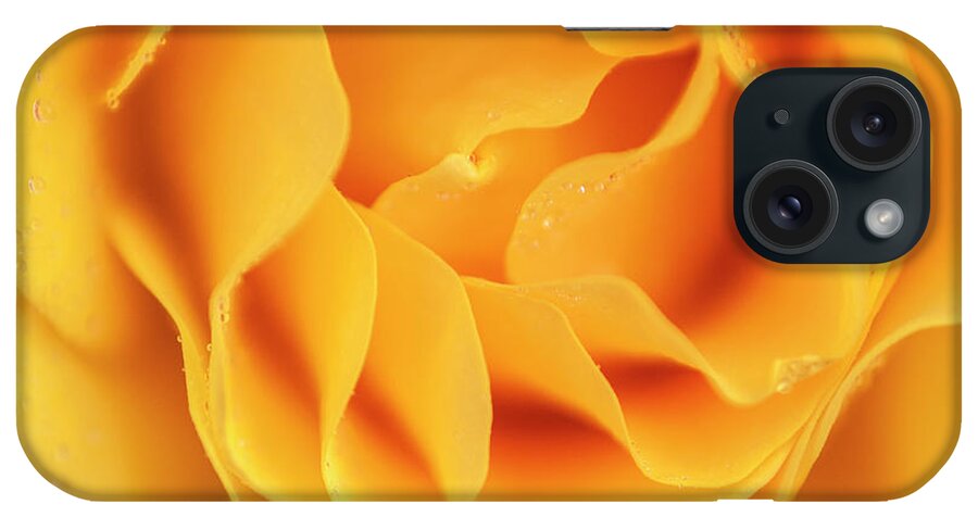 Flower iPhone Case featuring the photograph Yellow rose of Texas by Usha Peddamatham