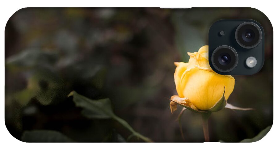 Rose iPhone Case featuring the photograph Yellow Rose by Wendy Carrington