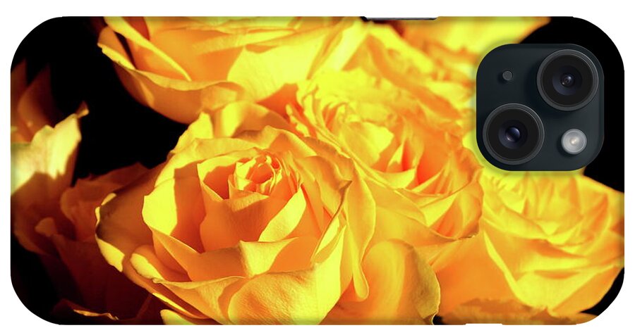 Yellow Roses Flower iPhone Case featuring the photograph Yellow Roses by Ian Sanders