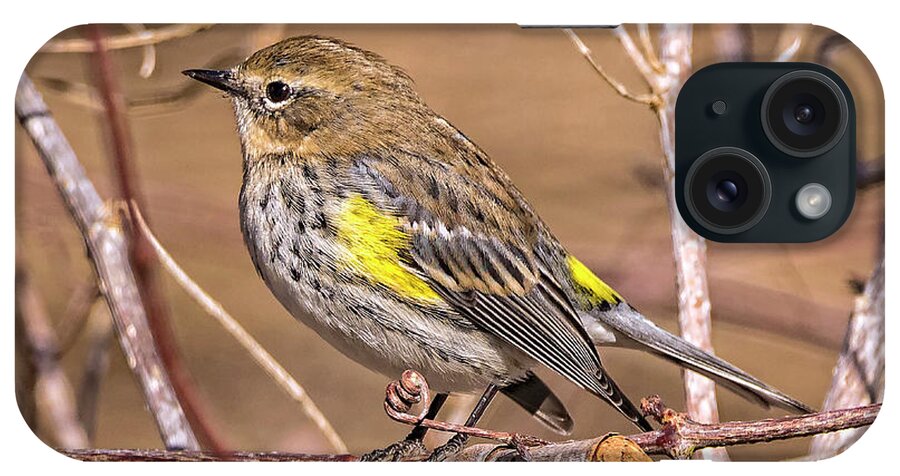 Nature iPhone Case featuring the photograph Yellow-Rumped Warbler by DB Hayes