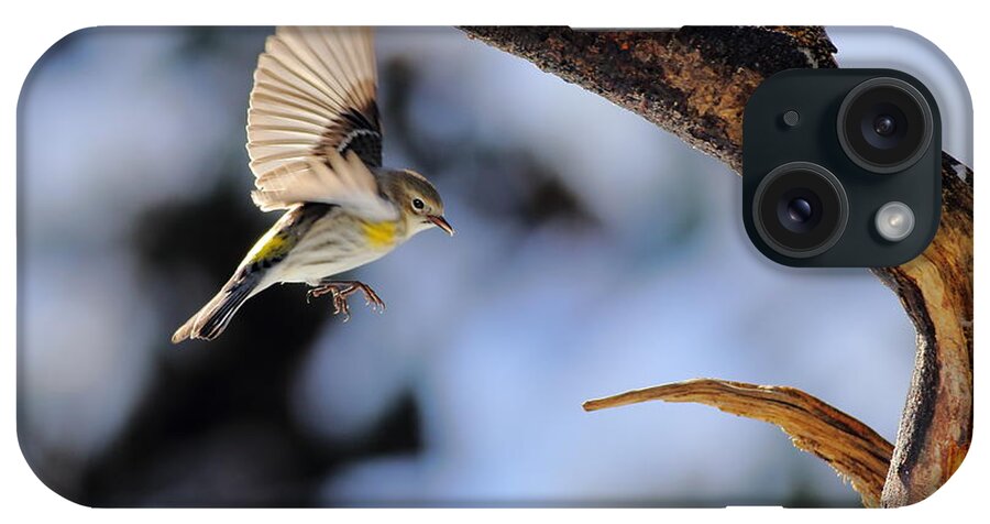 Yellow-rumped Warbler iPhone Case featuring the photograph Yellow-rumped Warbler Landing by Daniel Reed
