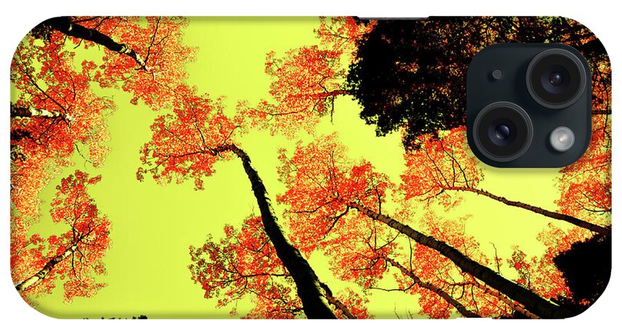 Foliage iPhone Case featuring the photograph Yellow Sky, Burning Leaves by Kevin Munro