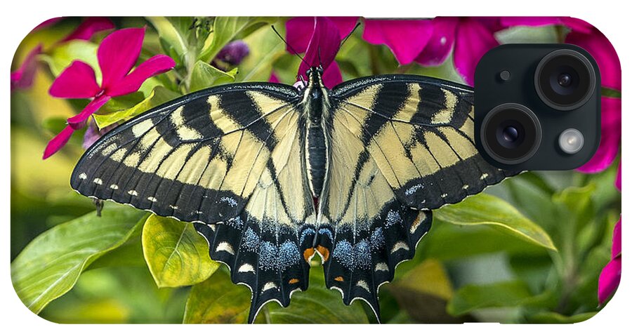 Butterfly iPhone Case featuring the photograph Yellow Swallowtail by William Bitman