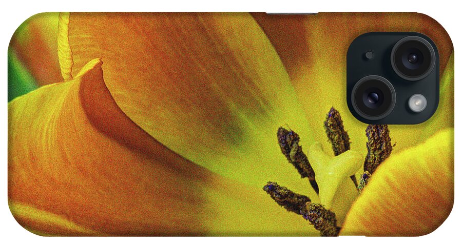 Flowers iPhone Case featuring the photograph Yellow Tulip by David Thompsen