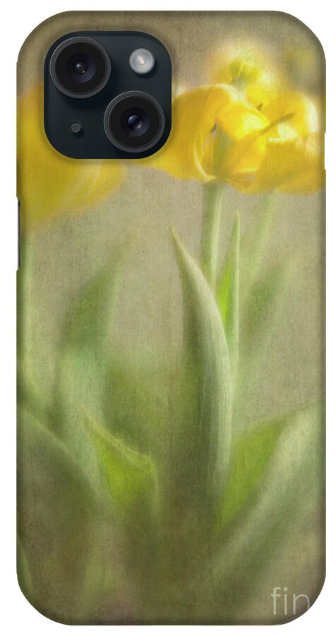 Yellow Tulips iPhone Case featuring the photograph Yellow Tulips by Elena Nosyreva