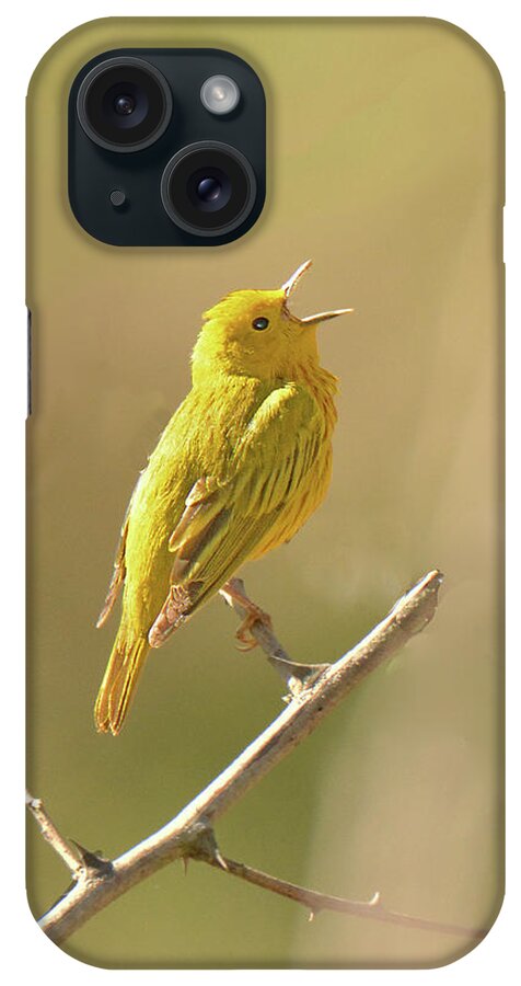 Bird iPhone Case featuring the photograph Yellow Warbler Song by Alan Lenk