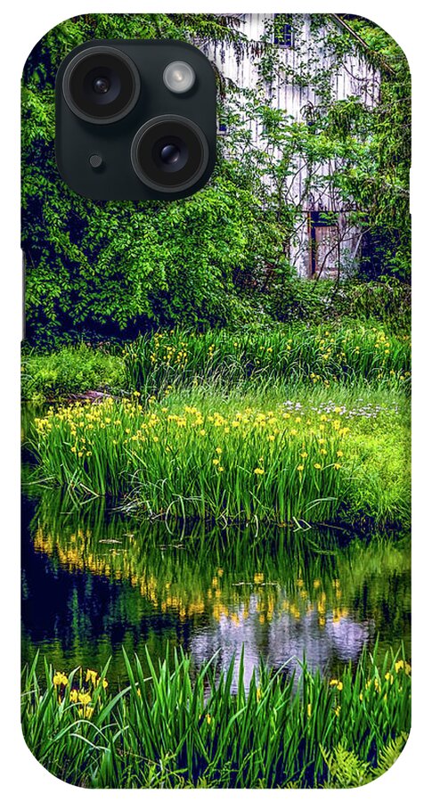  iPhone Case featuring the photograph Yellow water iris by Kendall McKernon