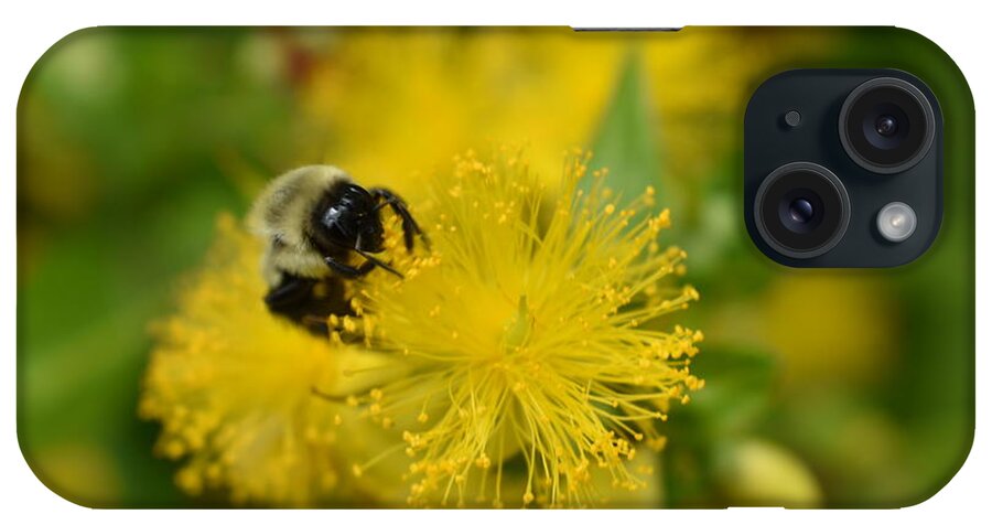 Yellow iPhone Case featuring the photograph Yellow Wildflower and the Bee by Nina Kindred