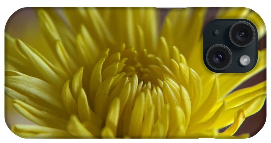Flowers iPhone Case featuring the photograph Yellow yellow by Yumi Johnson