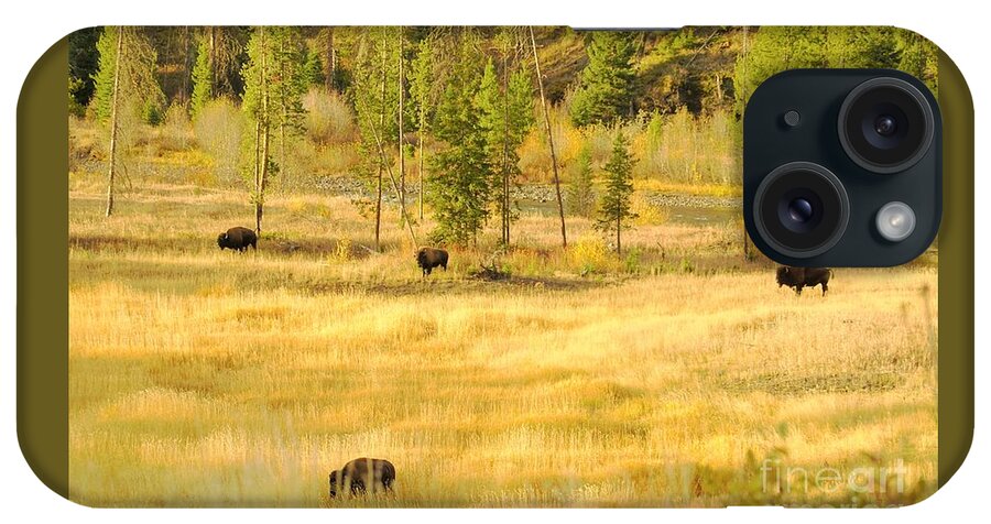 Yellowstone National Park iPhone Case featuring the photograph Yellowstone Bison by Merle Grenz
