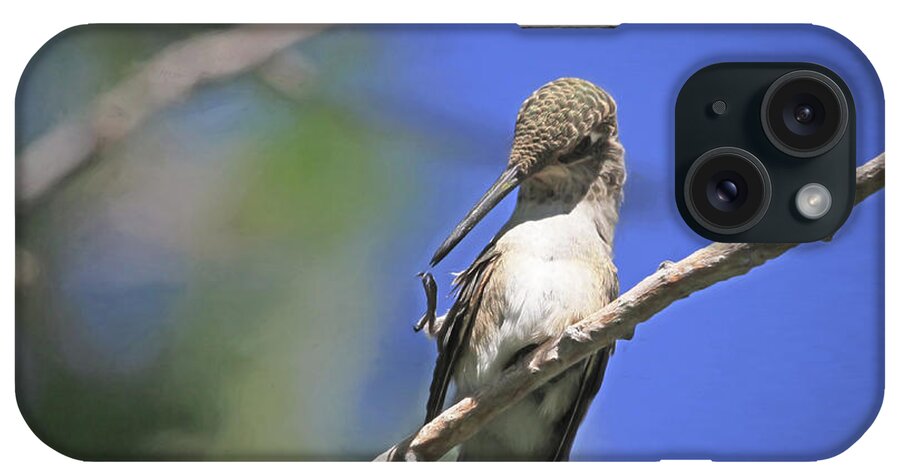 Black-chinned Hummingbird iPhone Case featuring the photograph Yikes - I Need A Manicure  by Donna Kennedy