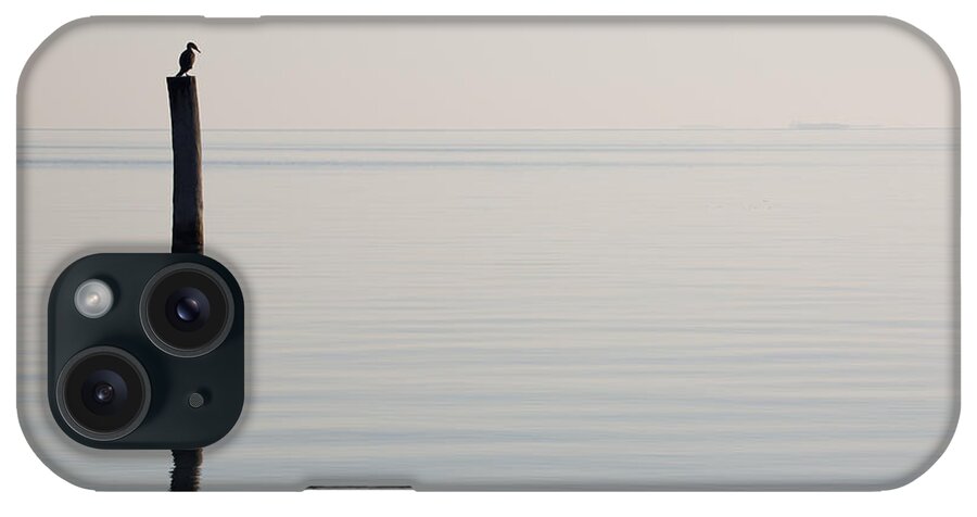 Water iPhone Case featuring the photograph Yorktown Cormorant at Daybreak by Rachel Morrison