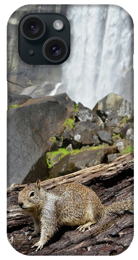Yosemite National Park iPhone Case featuring the photograph Yosemite Falls Squirrel by Kyle Hanson