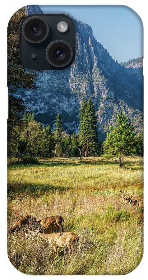 Yosemite iPhone Case featuring the photograph Yosemite Valley at Yosemite National Park by Daniel Heine