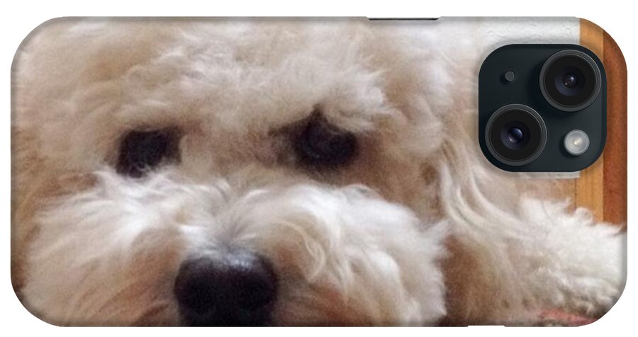 Doodldog iPhone Case featuring the photograph You Can't Help But Smile At A Face by Blenda Studio