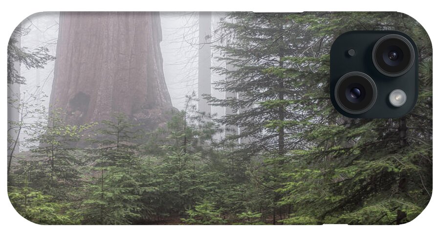 Sequoia National Park iPhone Case featuring the photograph Young and Old by Peggy Hughes
