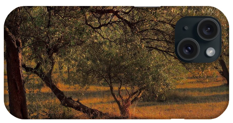 Symbol iPhone Case featuring the photograph Young Life in the Olive Grove by Angela Rath