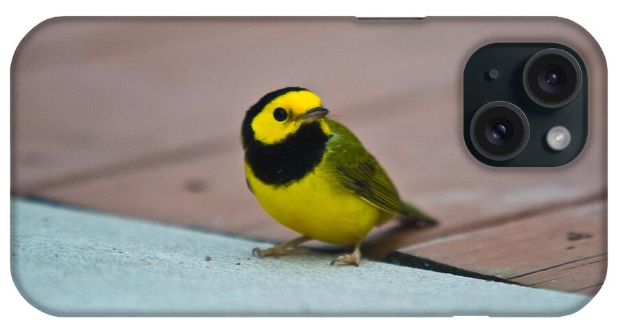 Cove iPhone Case featuring the photograph Young Male Hooded Warbler 2 by Douglas Barnett