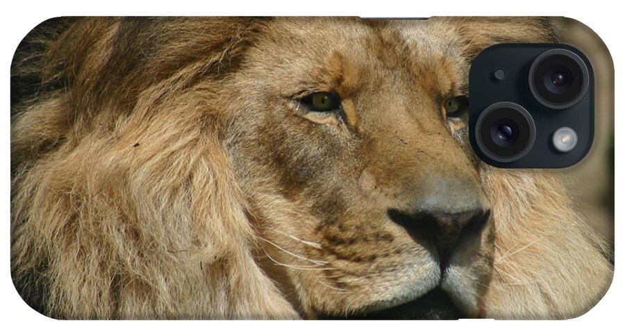 Lion iPhone Case featuring the photograph Your Majesty by Anthony Jones