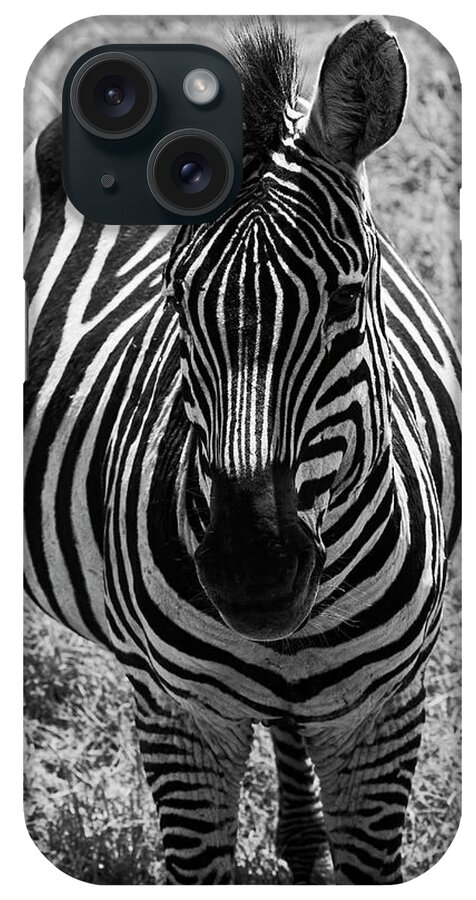 Zebra Close-up iPhone Case featuring the photograph Zebra Close-up by Sally Weigand