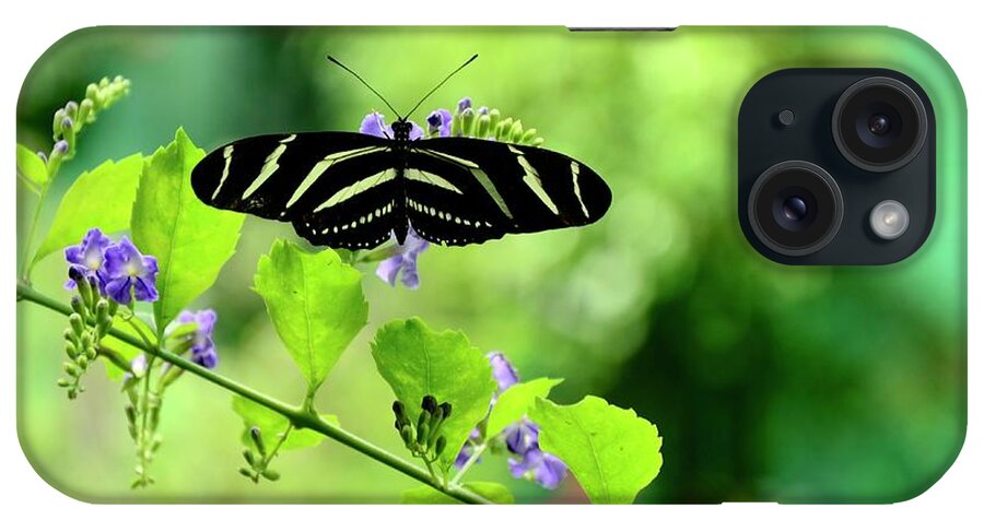 Butterfly iPhone Case featuring the photograph Zebra Longwing Butterfly by Corinne Rhode