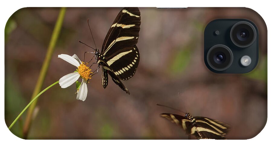 Butterfly iPhone Case featuring the photograph Zebra Longwings by Paul Rebmann