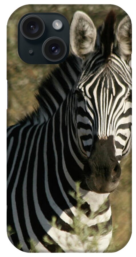 Karen Zuk Rosenblatt Art And Photography iPhone Case featuring the photograph Zebra Portrait by Karen Zuk Rosenblatt