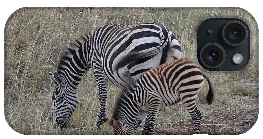 Exploramum iPhone Case featuring the photograph Zebras in Kenya 1 by Exploramum Exploramum