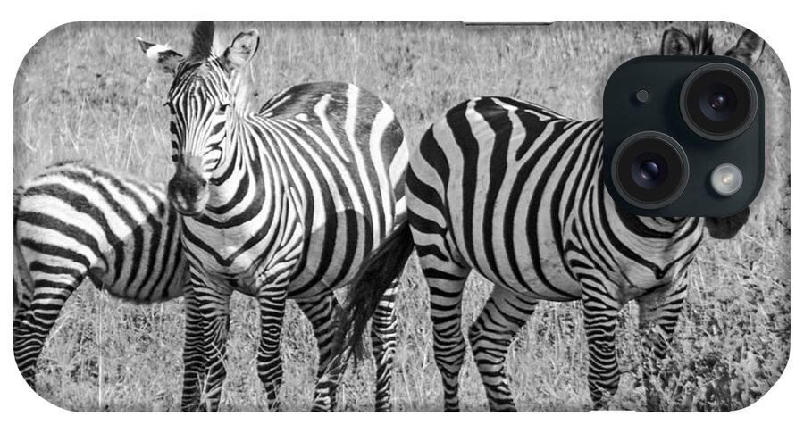 Zebras iPhone Case featuring the photograph Zebras in thought by Pravine Chester