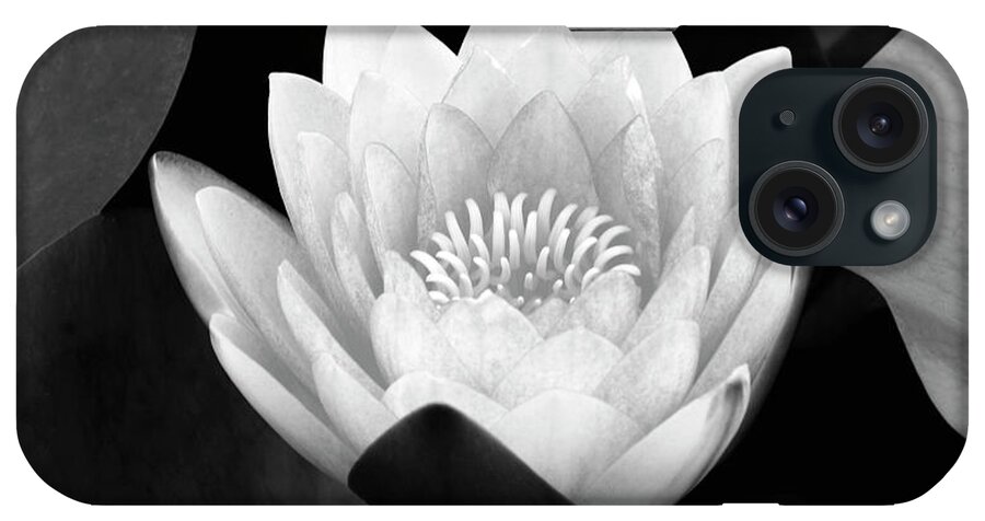 Waterlily iPhone Case featuring the photograph Rising Zen Encinitas by John F Tsumas