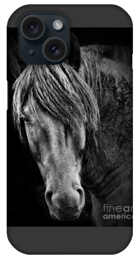 Animal iPhone Case featuring the photograph Zeus- Black Percheron by Sandra Huston