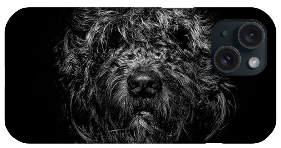 Blackandwhite iPhone Case featuring the photograph Ziggy. Our 10 Year Old, 39kg Golden by Brian Carson
