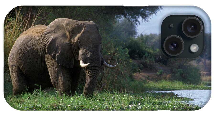 Elephant iPhone Case featuring the photograph Zimbabwe_43-18 by Craig Lovell
