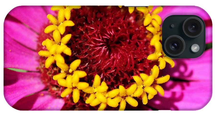 Pink iPhone Case featuring the photograph Zinnia Macro by Angela Rath