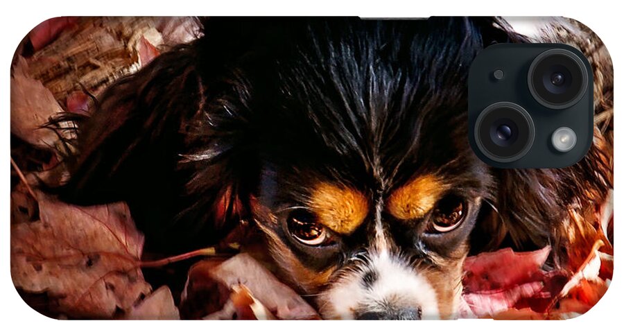 Tri Colored Cavalier King Chalres Spaniel iPhone Case featuring the photograph Zoey - Look Into My Eyes by Gwen Gibson