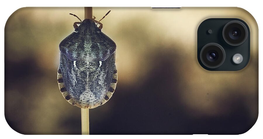 Insect iPhone Case featuring the photograph A Bug Holding A Branch #1 by Cavan Images