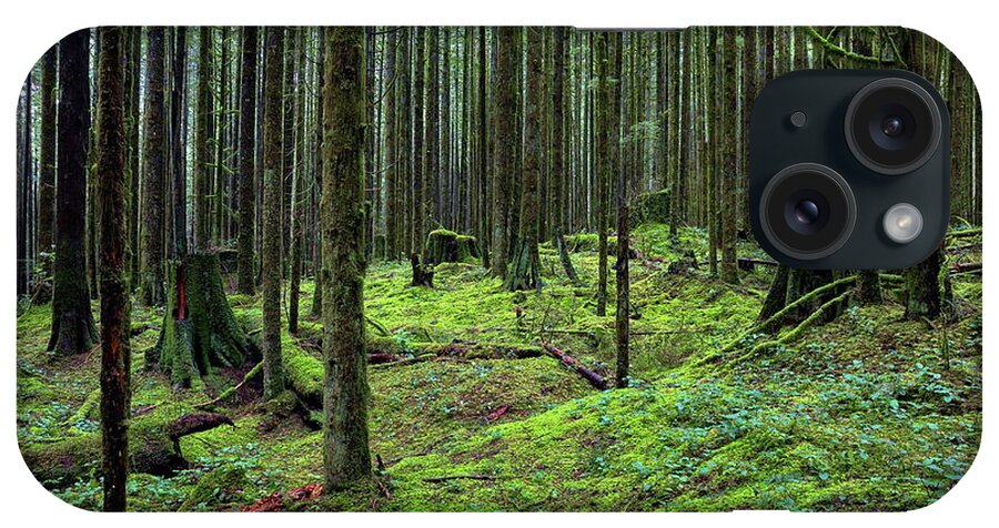 Alex Lyubar iPhone Case featuring the photograph All covered with green moss magic forest #3 by Alex Lyubar