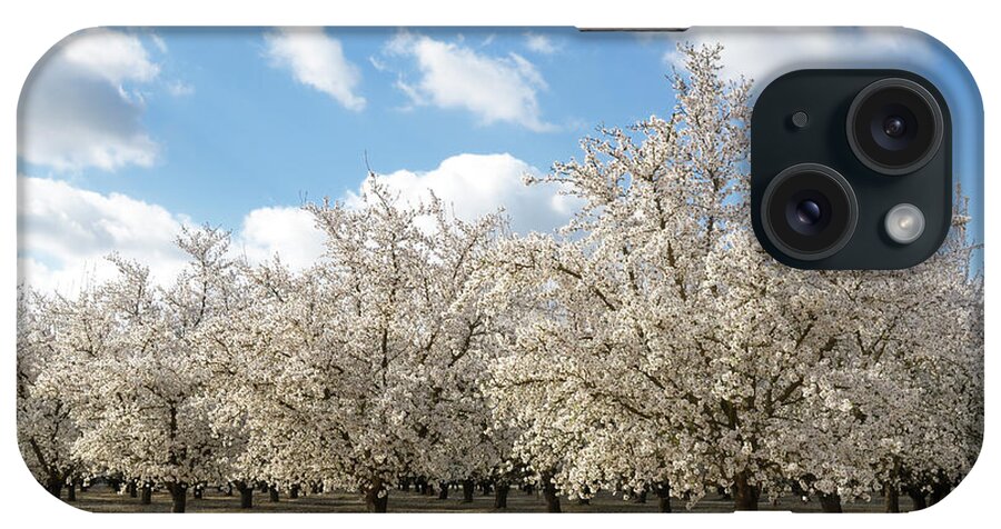 Nut iPhone Case featuring the photograph Almond Orchard With Springtime Blossoms #1 by Gomezdavid